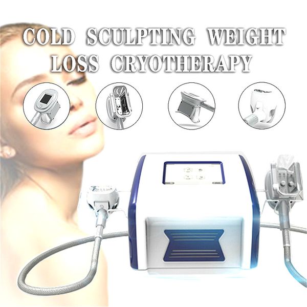 Gesichtspflegegeräte Neue Technologie-Kryotherapie-Maschine zum Verkauf / Kryo-Fett Einfrieren Schnell abnehmen