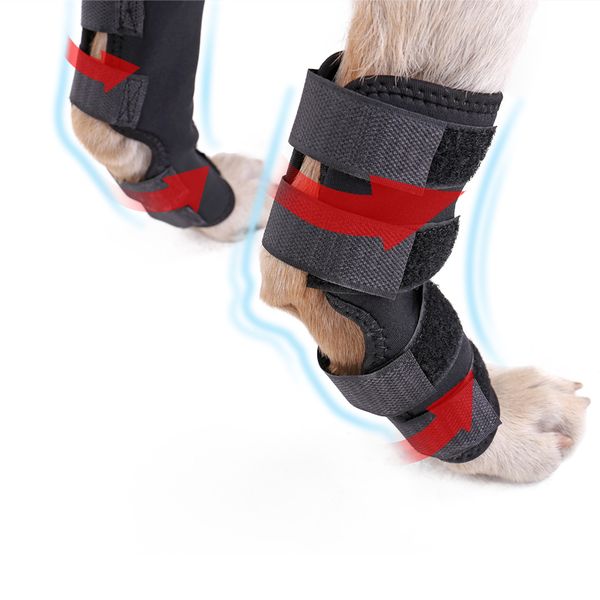 

2 pcs pet knee pads dog back leg brace pet protector dog canine hint leg brace wraps wounds brace heal sprains protect