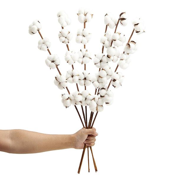 

fashion 6 pack 27 inch cotton stems farmhouse decor rustic style vase filler floral decoration flower