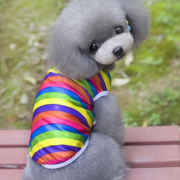 

2018 pet teddy comfortable vest breathable summer cotton rainbow t-shirt clothes for poodle small dogs pet drop shipping