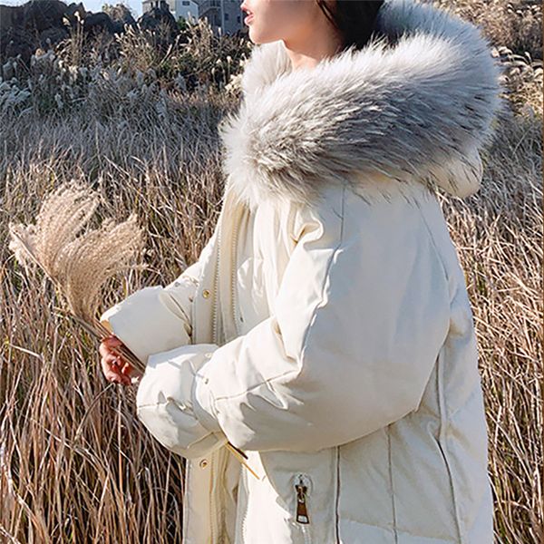 

winter coat female 2019 new long jacket version solid color fur collar hooded parker warm thickening plus size cotton clothes, Black