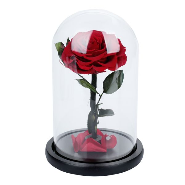 

weeding decoration fresh rose flower glass cover 24k gold foil eternal flower led luminous fleur valentine's day gift party