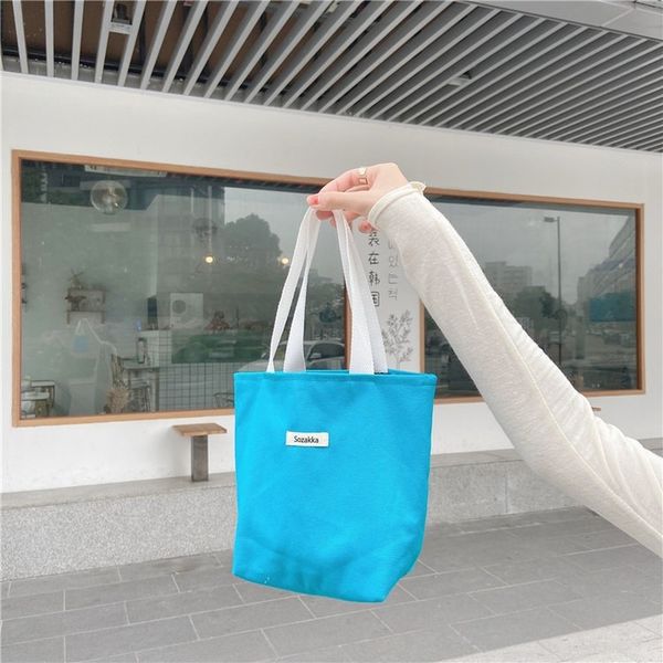 

double-sided lunch bag korean ins small fresh and lovely small cloth bag portable environmental protection wholesale