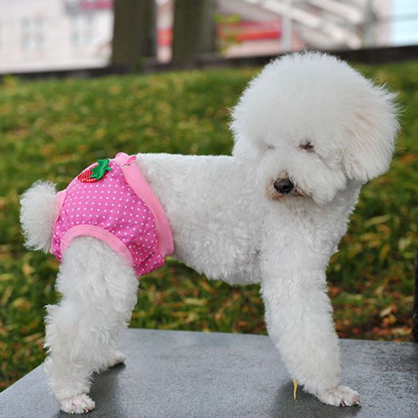 

emale pet dog puppy diaper pants physiological sanitary short panty s/m/l/xl store