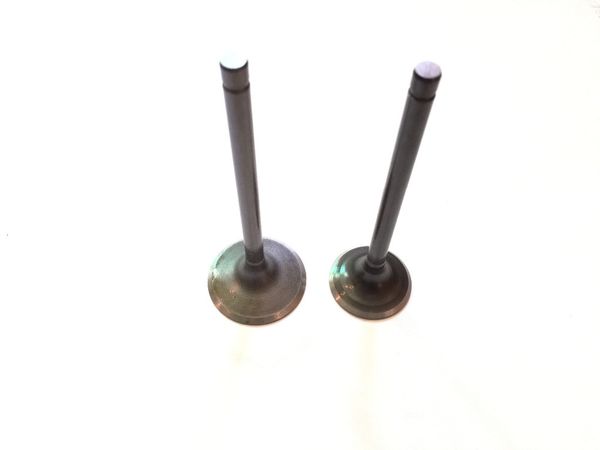 

bear tracker 250 intake & exhaust valve set kit fit bear tracker 250 1999-2004