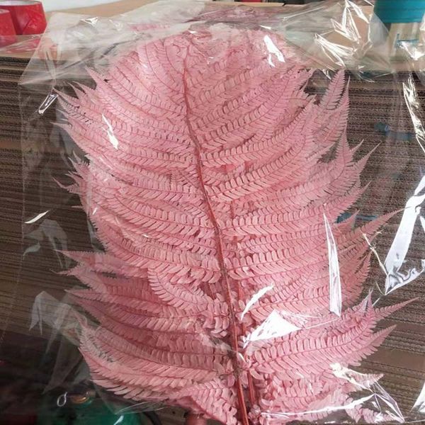 

fern leaves eternal flowers, dried flowers protect flowers, bouquet diy, flower art, vase decoration, decorative dried flowers