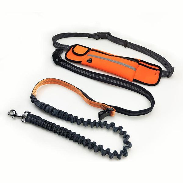 

adjustable pet dogs leash ropes elasticity running jogging leashes pets chain large training dogs puppy traction rope supplies