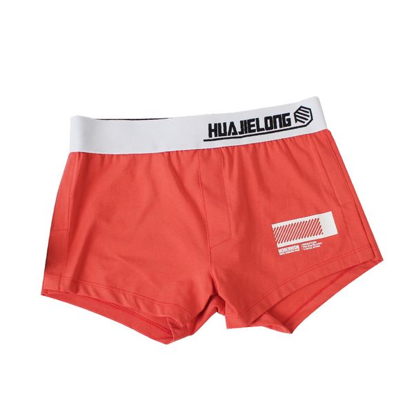 

underwear mens boxer shorts for man fashion designer vogue underwear casual short lingerie men panties men's cueca boxer, Black;white