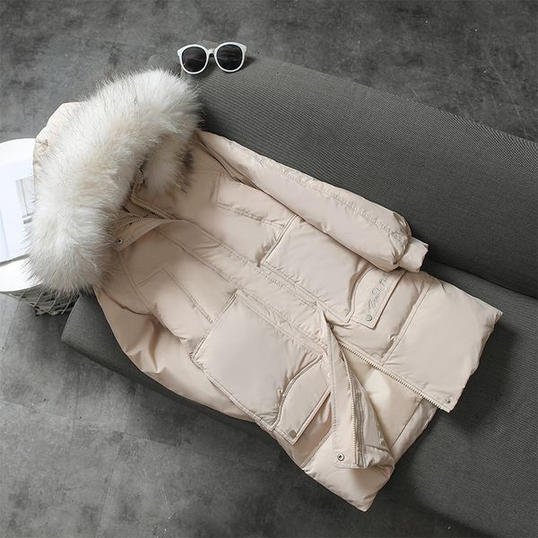 

2020 women winter coat loose long sleeve women thick warm jacket coat hooded white duck down casaco feminino parkas, Black;brown