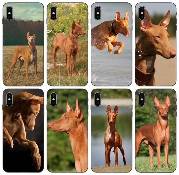 

tongtrade] pharaoh hound puppy dog art case for apple iphone 11 pro max x xs 8s 7s 6s 5 galaxy a80 a8s a9 huawei p9 lg x power 2 vogue case