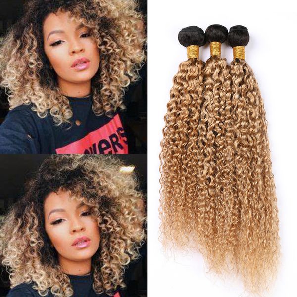 1b 27 Ombre Curly Human Hair Weave Bundles Honey Blonde Ombre