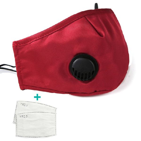 

In Stock! 10PCS Reusable Protective Masks with 2 Filters PM2.5 Anti-Dust Mask Breathing Valve Respirator Adjustable Face Masks for Adult Kid