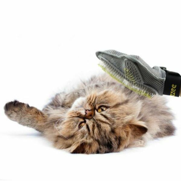 

pet round head ванна ека  кѬђглой головой длинноволоа обака мааж rubber ванн ки