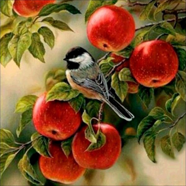 

fruit diamond painting oil painting pictures by numbers poster modular pictures modern wall panels home decor