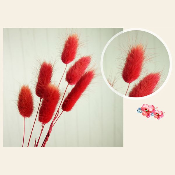 

50 pcs dried flower grass decoration pgraphy props for home store wedding mdj998