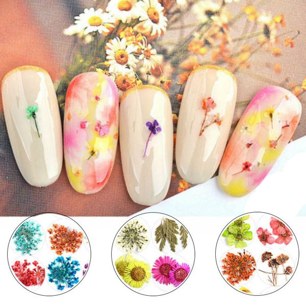 

12 colors mixed natural nail dried flower for gel nail art tips 3d natural petal dried flower art decoration manicure tools, Silver;gold