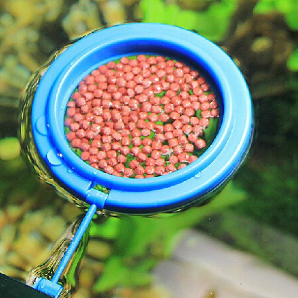 

home square round fish tank portable diy with suction cup lightweight durable floating aquarium feeding ring