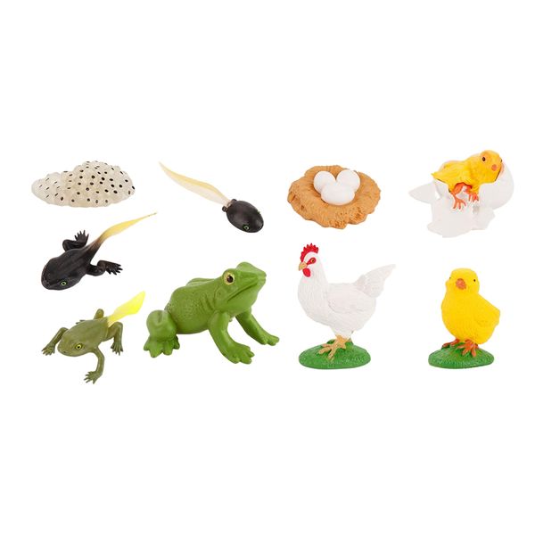 

kids toy simulation animal figures set growth process frog+cock