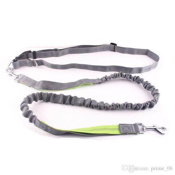 

pet dog nylon rope training leashes slip lead strap adjustable traction collar pet animals rope collar