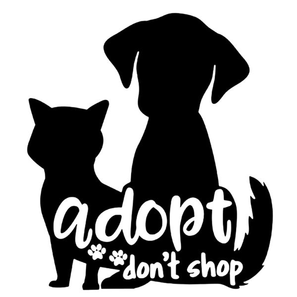 

15 * 13.3 см не магазин pet window животных декалите автомобиль бампер стикер милые и интересные моды наклейки отличительных знаков