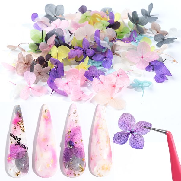 

100pcs colorful dried flowers nail art decorations 3d natural blooming sliders summer floral sticker manicure accessories ly1505, Silver;gold