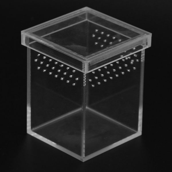 

acrylic transparent insect reptile breeding feeding box - ventilated