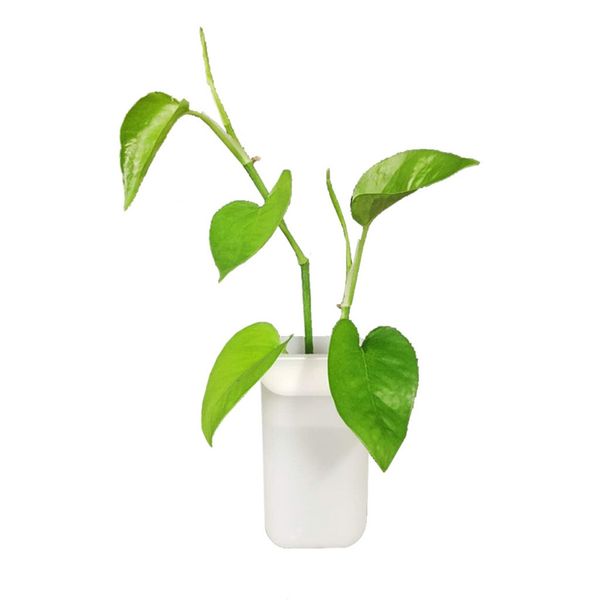

new silicone vase sticker multi-purpose vase sticker for wall household