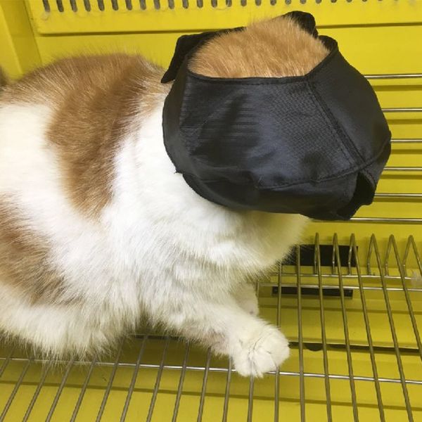 

nylon cat muzzle anti-bite breathable cat muzzle masks for grooming bath protection pet eye mask for cats pet grooming tools