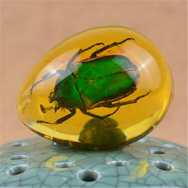 

творческий смолы янтарь бабочка скорпион крабы муравьи паук насекомое камень кулон ожерелье небольшой украшения дома