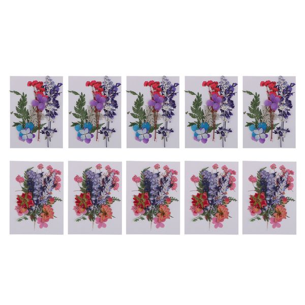 

10 pack natural pressed dried flowers pressed leaves for scrapbooking art craft epoxy resin pendant jewelry making diy accessories