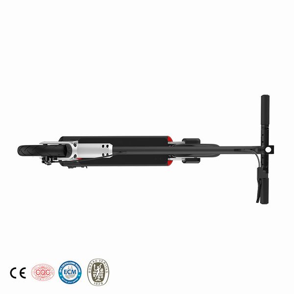 

36v 350w standing and folding 2 wheel electric scooter