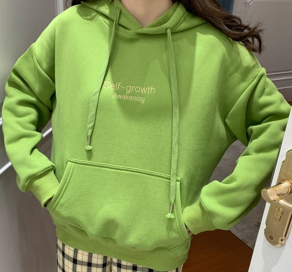 

autumn and winter 2019 new korean loose hooded plush women's autumn and winter chic thickened women's sweate, Black