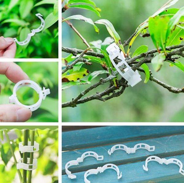 

fixed clip hanger vegetable melon tomato plant support plastic clips tied rattan clip tomato ring buckle garden tools t7i5018