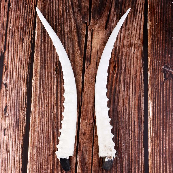 

14" lightweight antelope horns animal aries exhibition gothic cosplay props