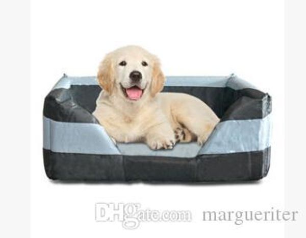 

емнй оба конђѬа доманее живоное гнездо обака кока зима лео пѬакин