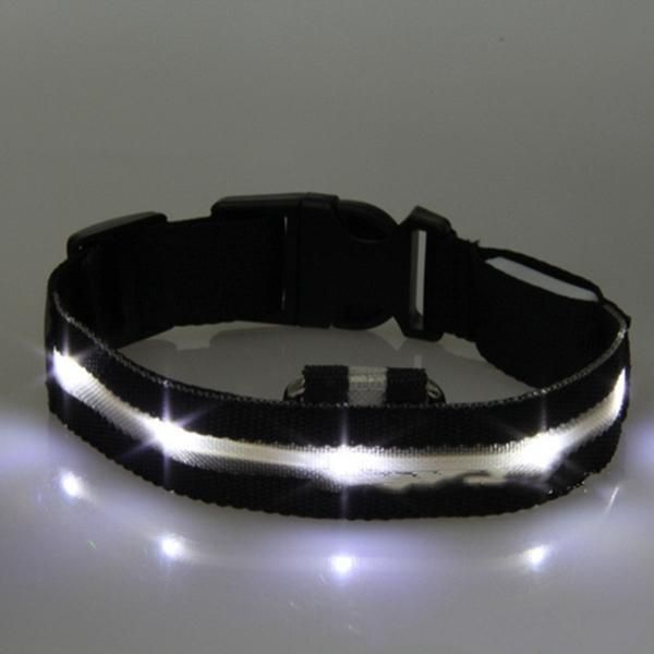 

камуфляж цвет светящейся собаки кошка fluorescent зоотовары luminous pet products светодиодных ошейники beyond teddy dogs cute ночники shiny