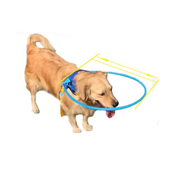 

pet safe halo жгут для слепых собак blind pet anti-коллизия кольцо scorpion катаракта защиты животных круг руководство собак harness