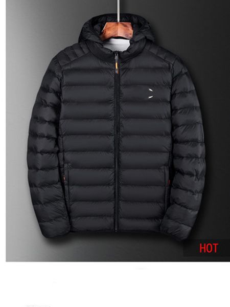 

winter jacket new champions mens designer windproof warm down jacket loose casual thick men winter coat luxury fashion parka, Black
