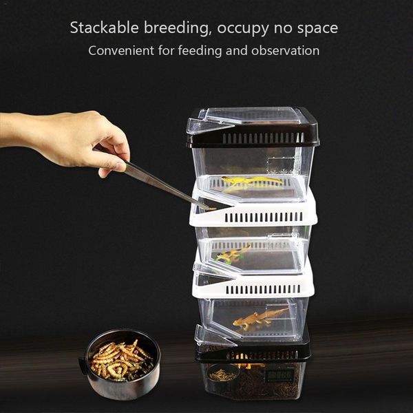 

terrarium reptile breeding box tortoise snake spider lizard beetle insect house acrylic box with themometer trough