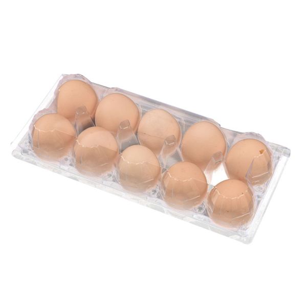 

10 holes eggs container plastic clear egg packing boxes disposable eggs storage boxes