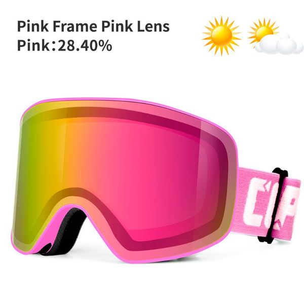 

2919 ski goggles