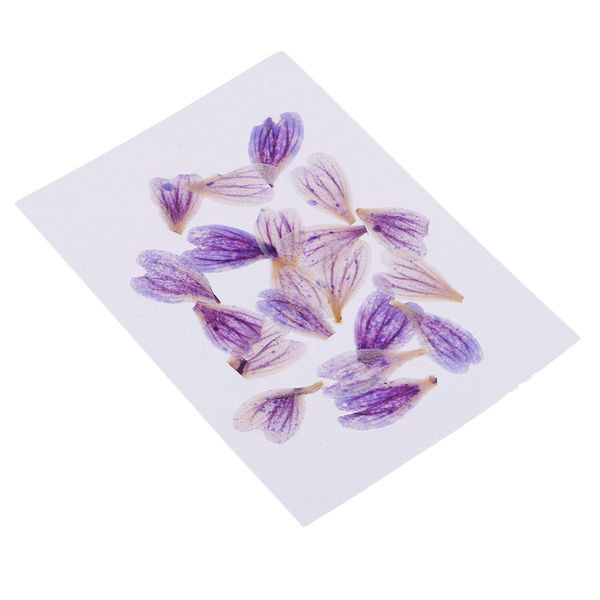 

20 piece natural pressed dried hollyhock flower p frame phone case decor
