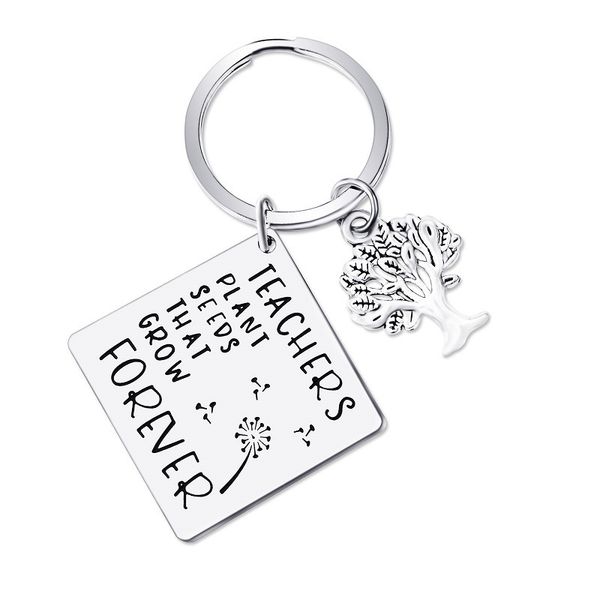 

teachers keychain teachers plant seeds of knowledge tree graduation cap stainless steel keyring for teacher key chain gifts, Slivery;golden