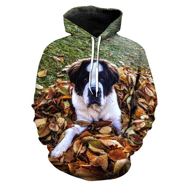 

european and american cute dog printed cover with hat pocket men's tide cover and men's tide blouse hoodies, Black