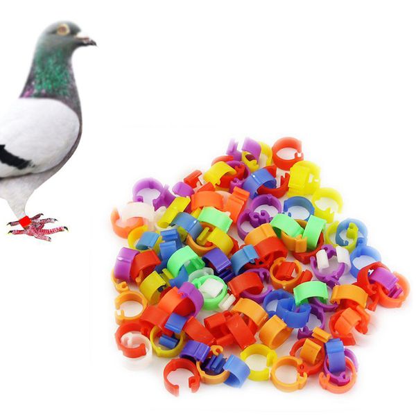 

100pcs home practical universal random color durable garden accessories bird supplies 8mm plastic ring