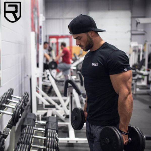 

Camisetas hxlveststore