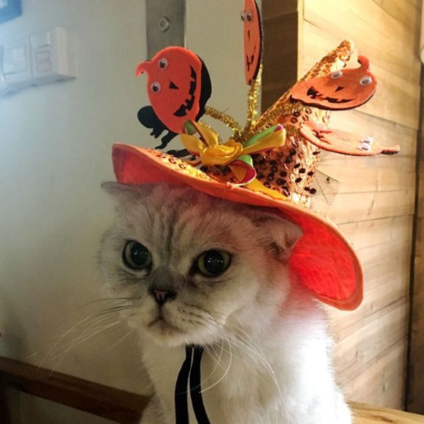 

funny creative dog cap halloween spider pumpkin hat small pet cats dog hat cosplay hats accesories pets ces