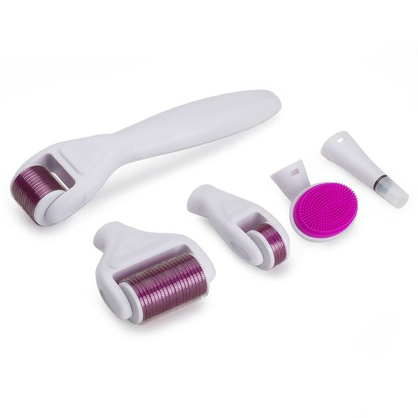 6 in 1 Derma Roller con testine sostituibili Microneedle Roller Kit per la cura della pelle Pulizia del viso Dermaroller Salone di bellezza