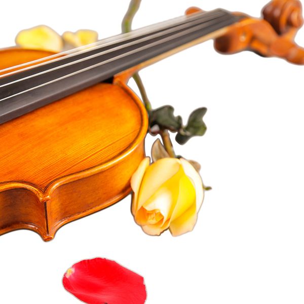 

full size natural flamed maple hand-craft advanced violin spice face ebony fitted with case bow rosin mute