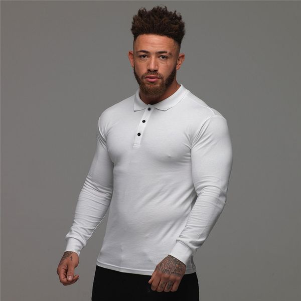 

new brand clothing running polo shirt men business sports solid male polo shirt long sleeve pure cotton poloshirt, Black;blue